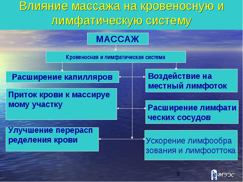 Воздействие частного массажа на кровеносную систему