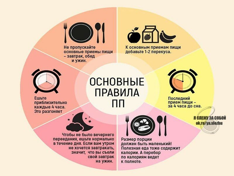 Правила правильного питания