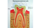 Зубная боль