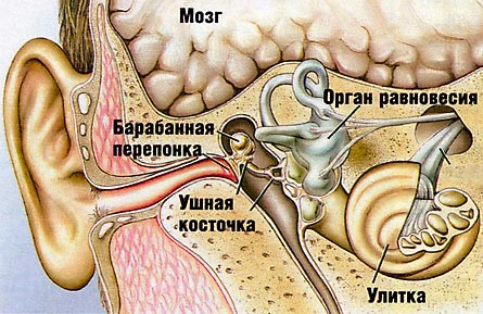 Отит - воспаление уха
