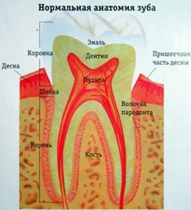 Зубная боль - считается самой сильной болью