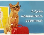 Рыжий котя в очках