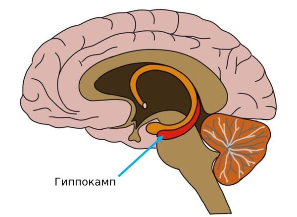 Что такое астения?